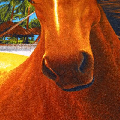 Prosop de Plaja, Catifea din Microfibra, 90 x 170 cm, 420gr/m², Armasar, Maro/Albastru, ST14526