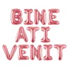 Set 12 Baloane, Litere, Pentru Petreceri/Aniversari/Evenimente, Metalizate, Folie, 45 cm, Model BINE ATI VENIT, Roz, TENO1048